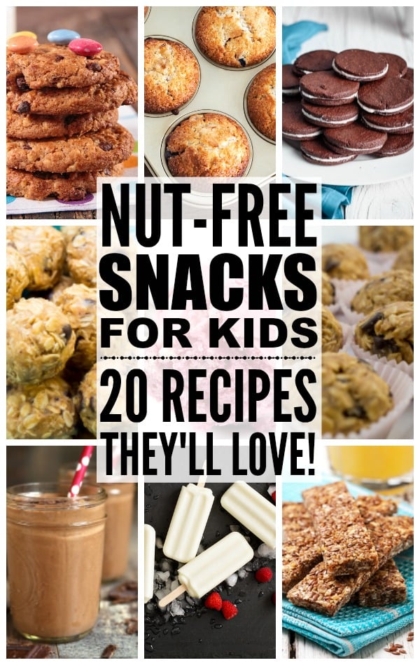 Nut Free Snacks For Kids 20 Yummy Recipes They Ll Love Nut Free