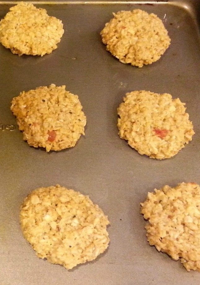 Oatmeal Burgers Healthy Homestead