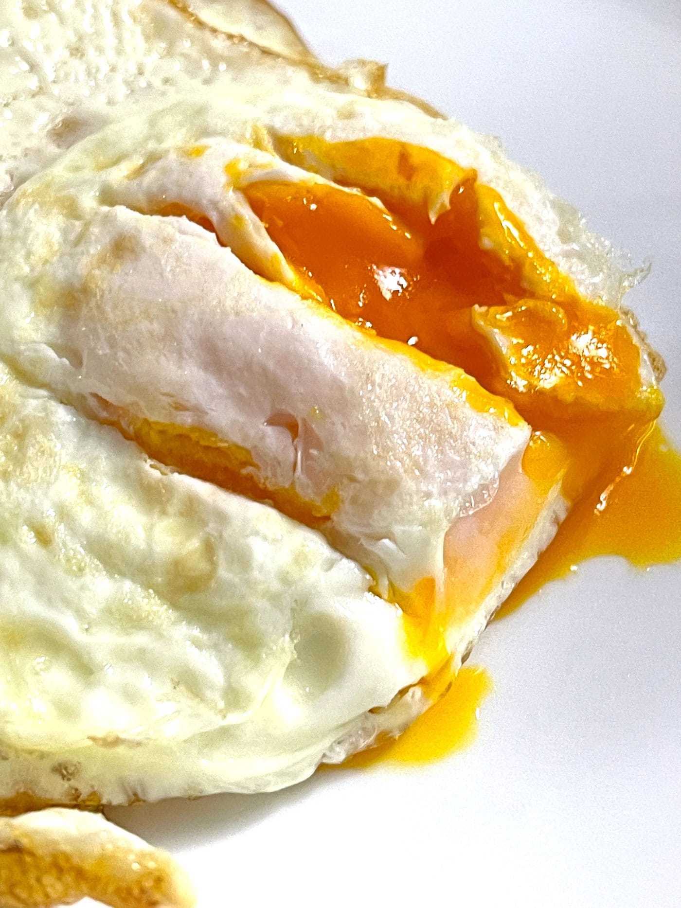 Perfect Fried Egg Recipe Garden