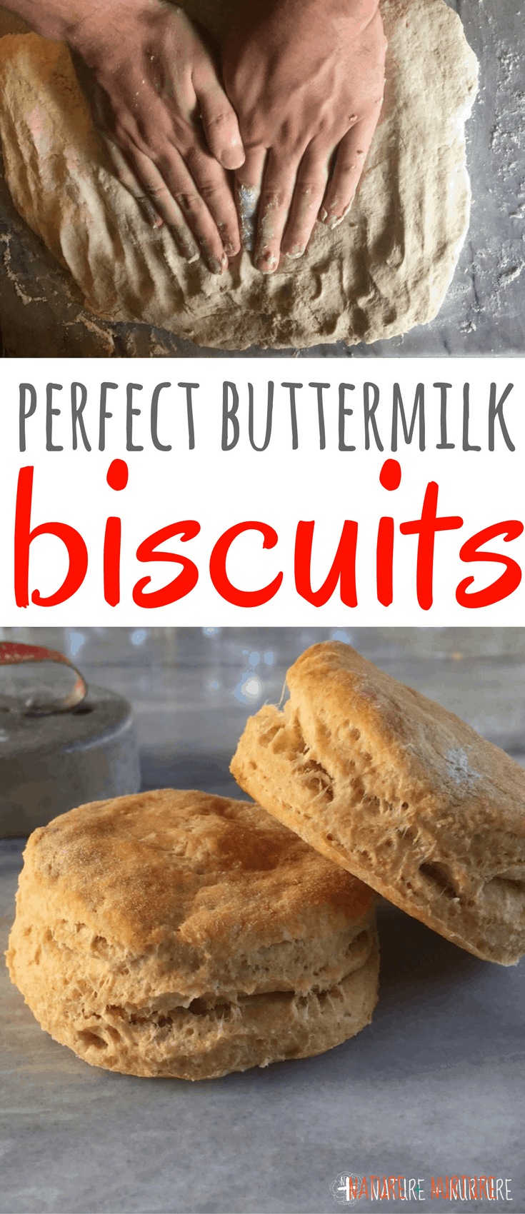 Perfect Homemade Biscuits 3 Seconds