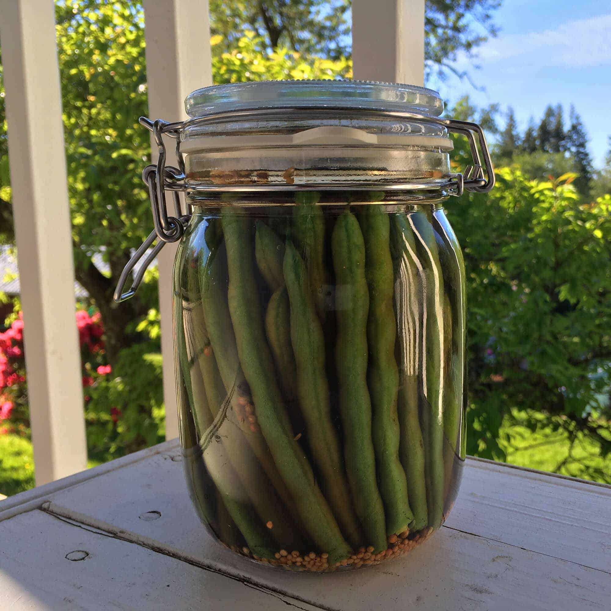 Pickled Green Beans Quick And Easy Canning Recipe