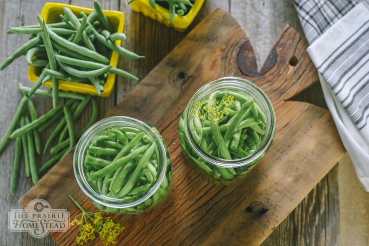 Pickled Green Beans Recipe Lacto Fermented The Prairie Homestead