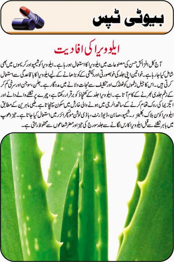 Pin By Pragnee Priya On Hair Care In 2020 Aloe Vera For Hair