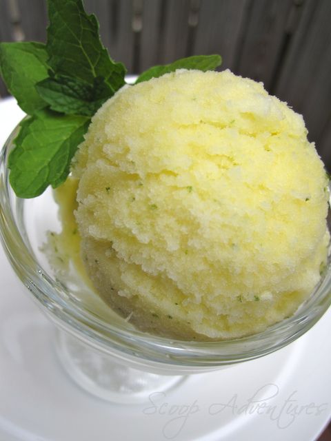 Pineapple Mint Sorbet Scoop Adventures Pineapple Mint Sorbet