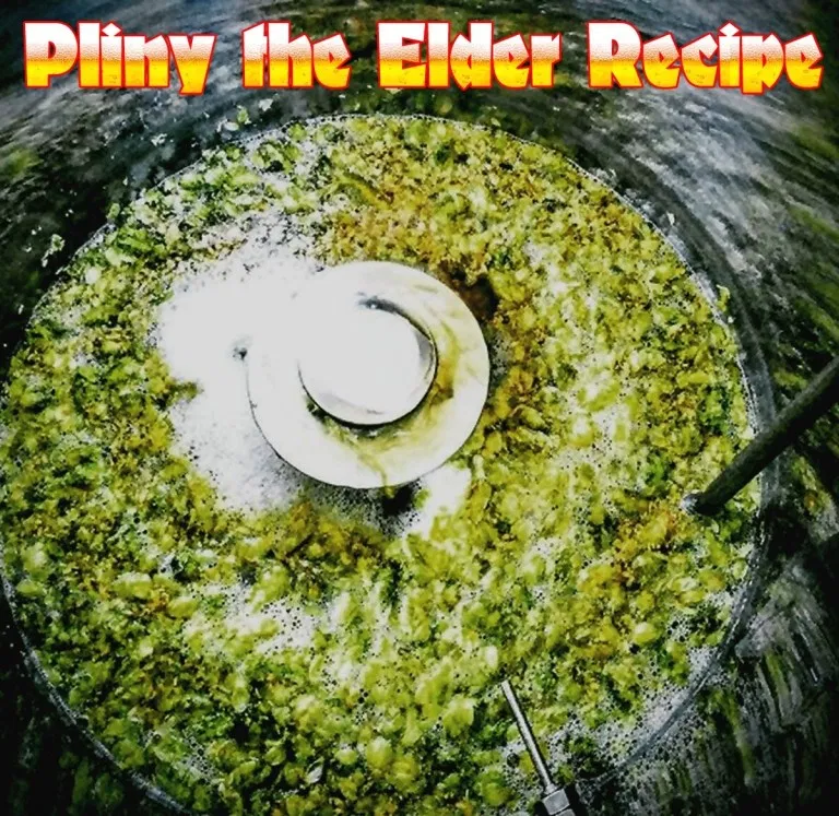 Pliny The Elder All Grain Home Brewing Recipe Artofit