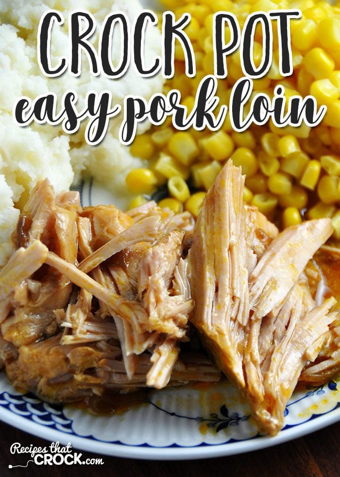 Pork Loin Recipes Easy Crock Pot Dandk Organizer