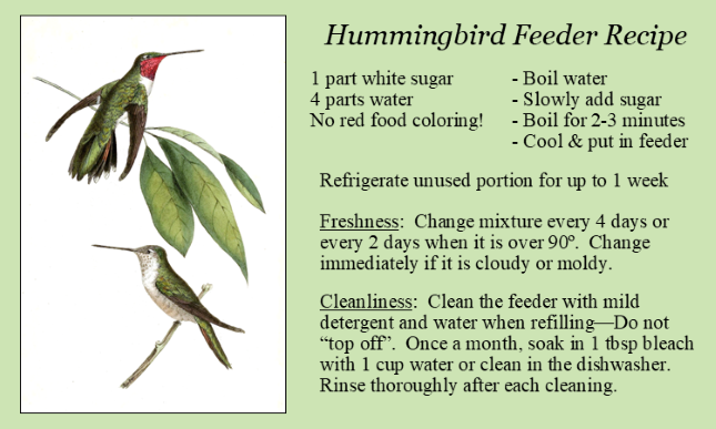 Printable Hummingbird Nectar Recipe Printable Templates Free