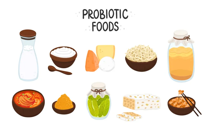 5 Probiotic Food Recipes for a Healthy Gut