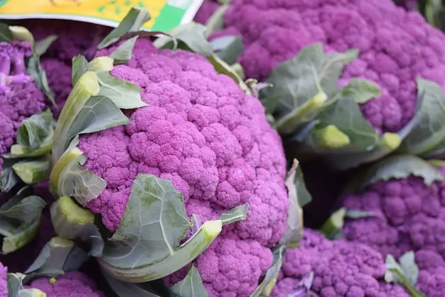 Purple Cauliflower: Vibrant Veggie Delight Recipe