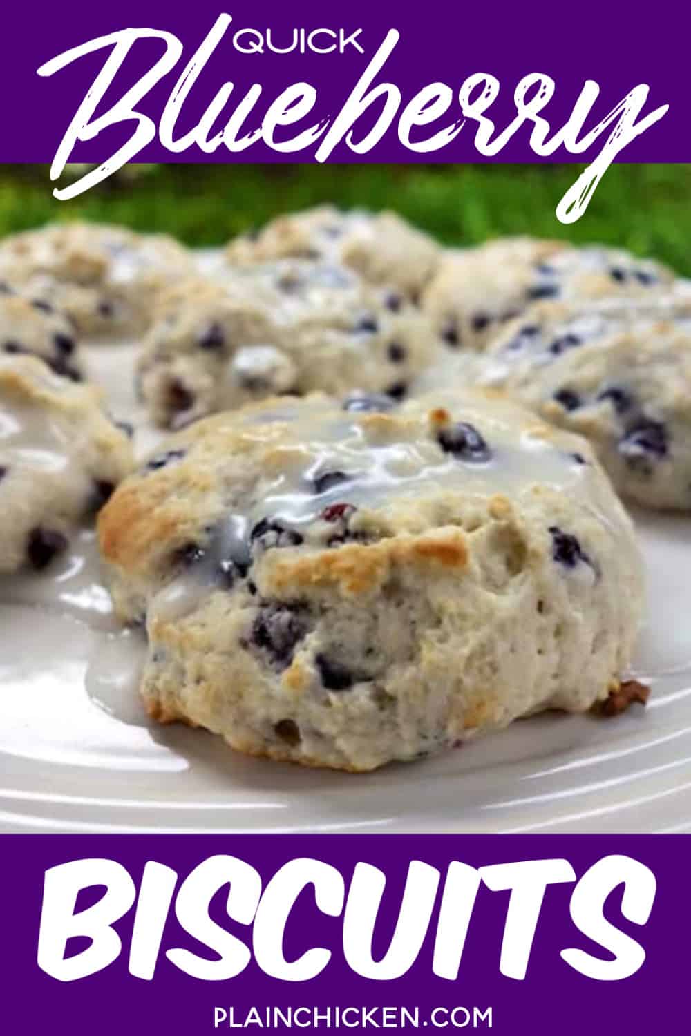 Quick Blueberry Biscuits Plain Chicken