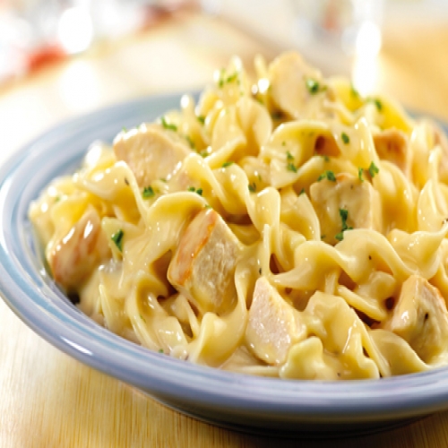 Quick Creamy Chicken Egg Noodles