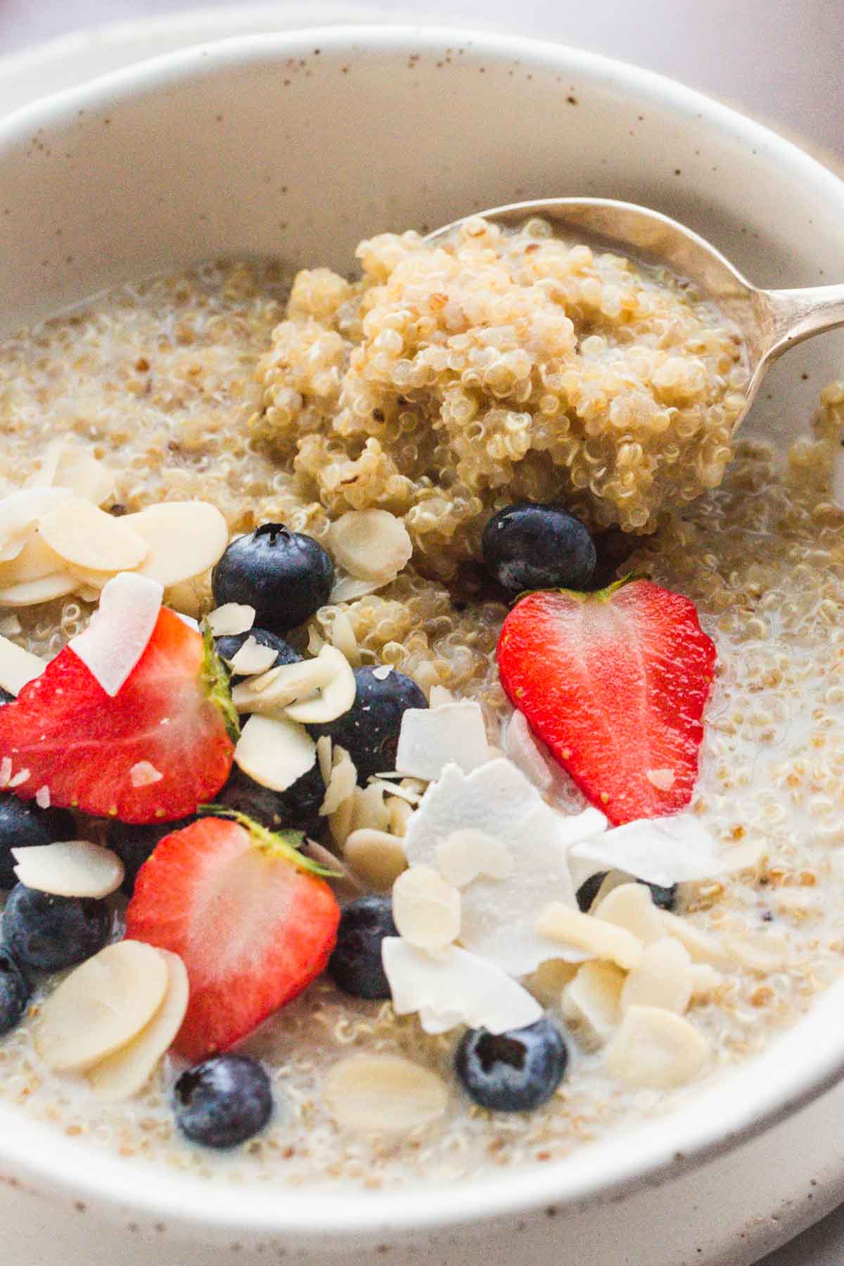 Quinoa Hot Cereal Recipe Besto Blog