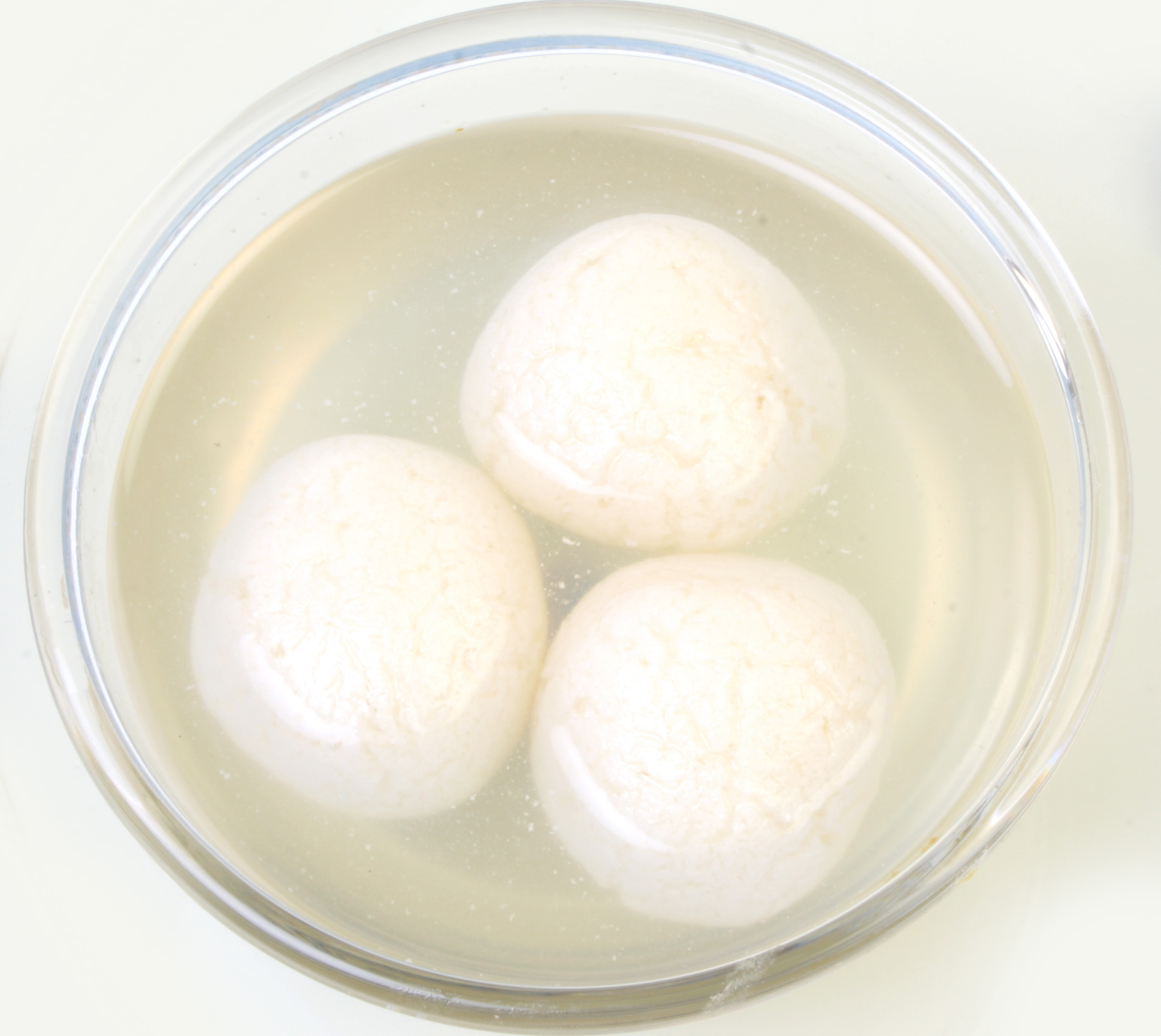 Easy Rasgulla Recipe for Sweet Delight