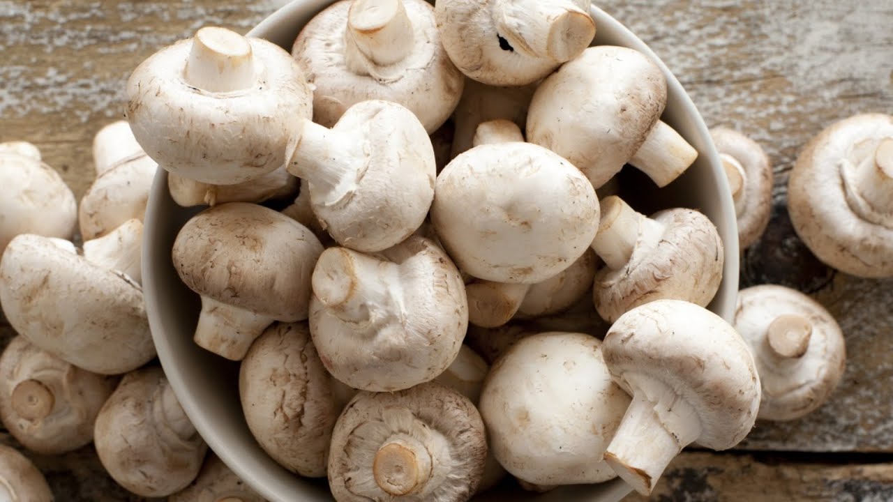 5 Delicious Mushroom Appetizer Recipes for Your Party