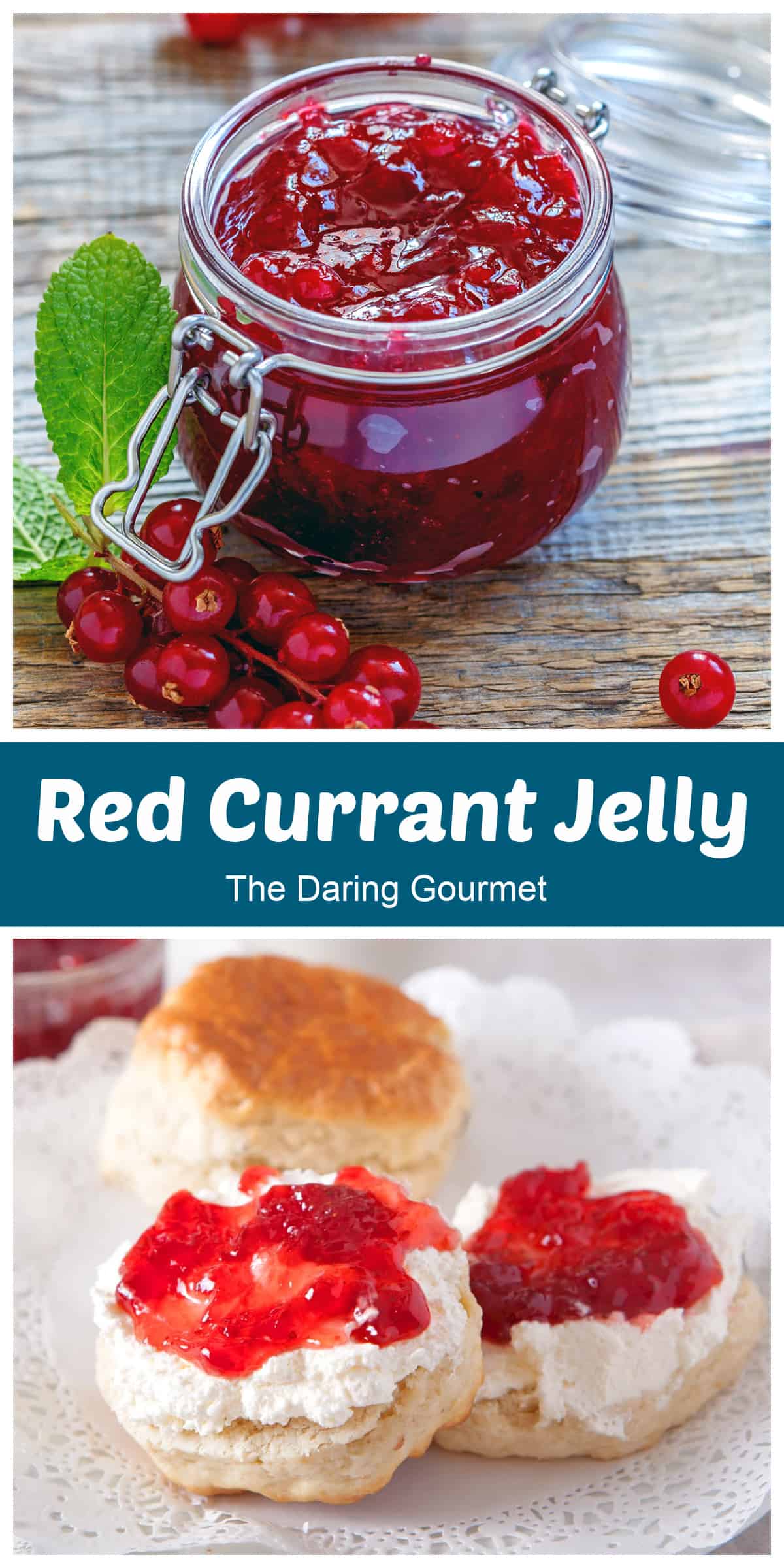 Red Currant Jelly The Daring Gourmet