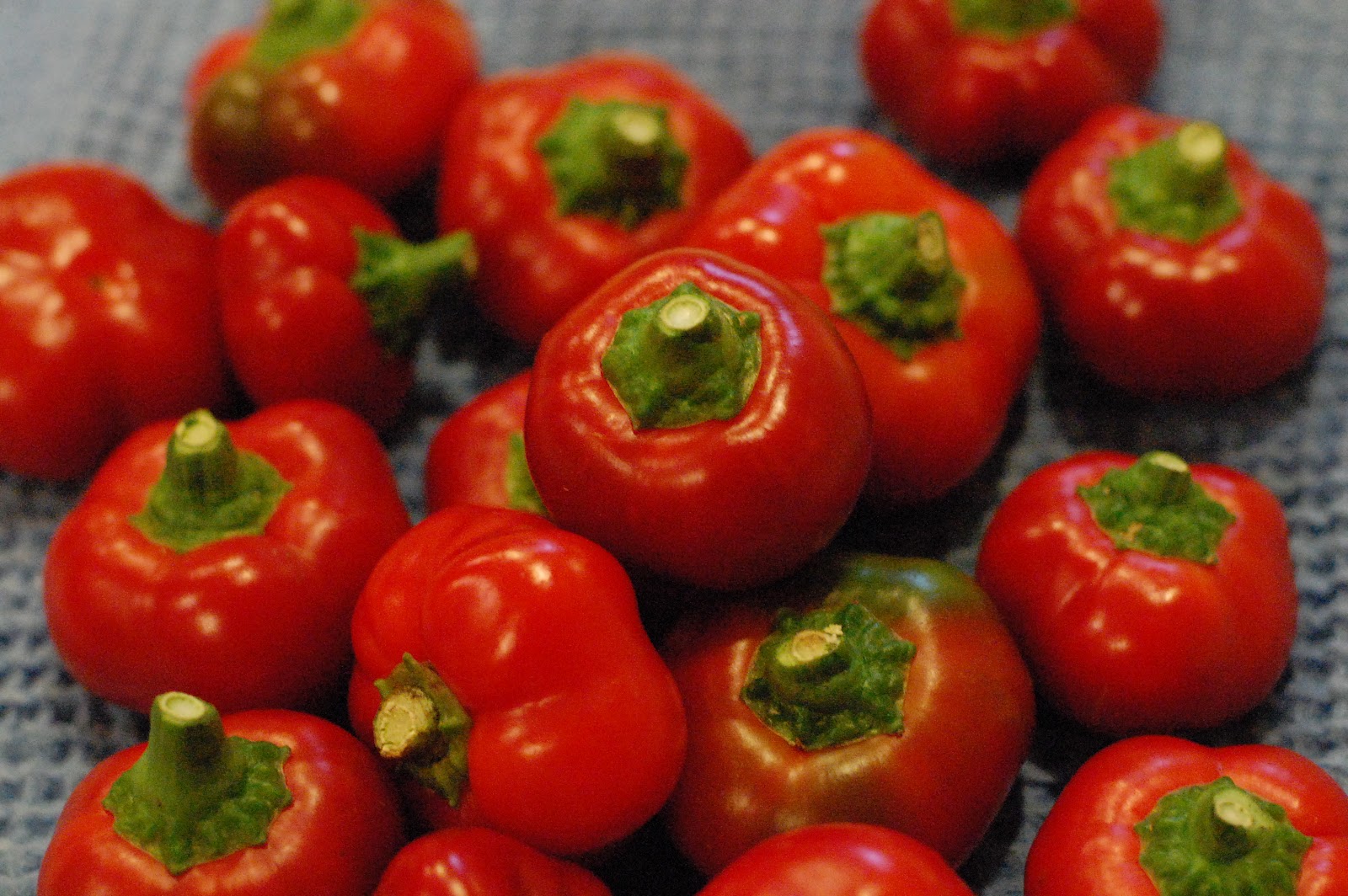 Red Hot Cherry Pepper Relish Recipe Besto Blog