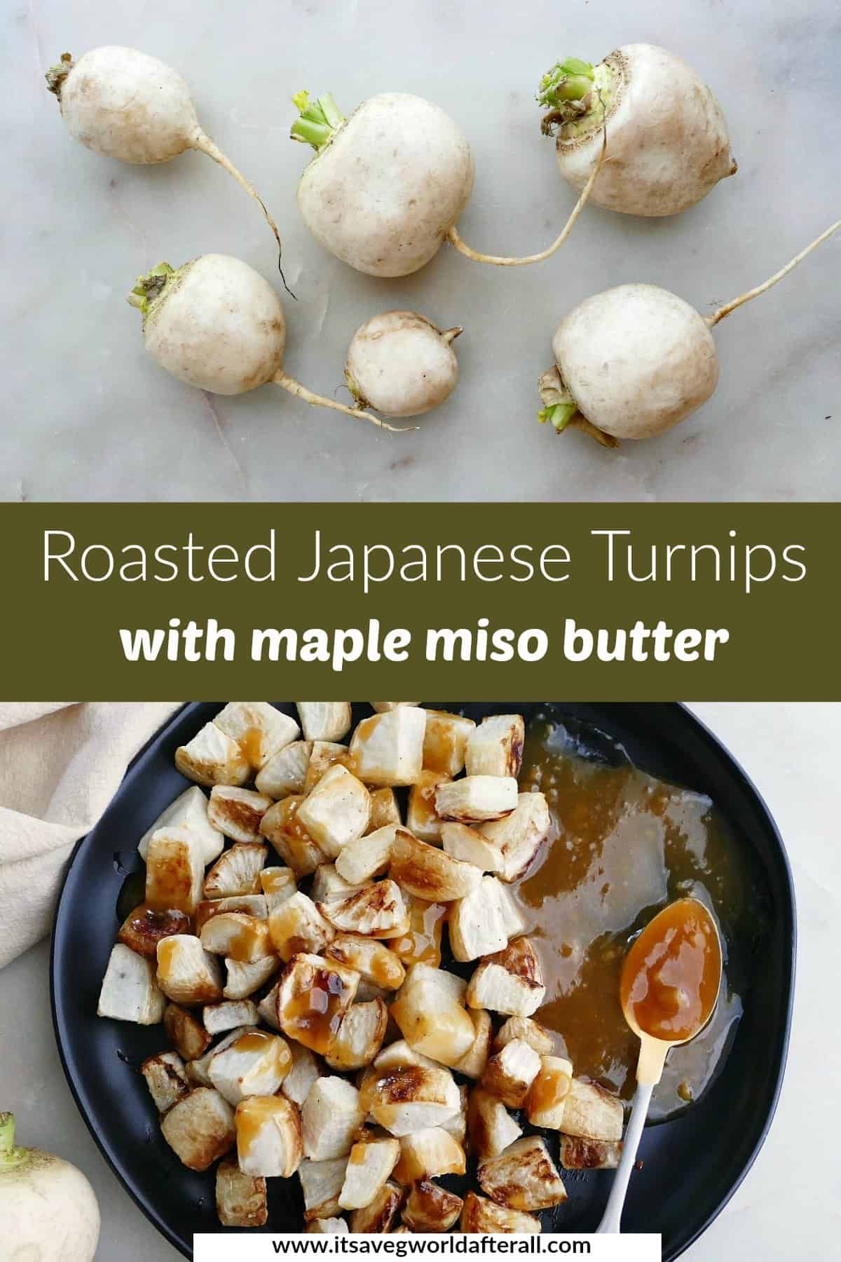 Roasted Japanese Turnips Hakurei Turnips Recipe It S A Veg World