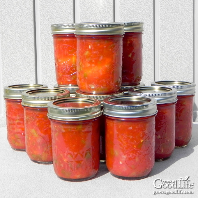 Salsa Recipe Beginners Guide To Canning I Can Cook That