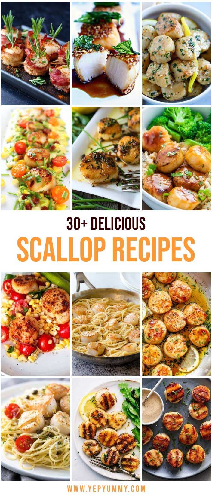 5 Delicious Scallop Recipes You'll Love