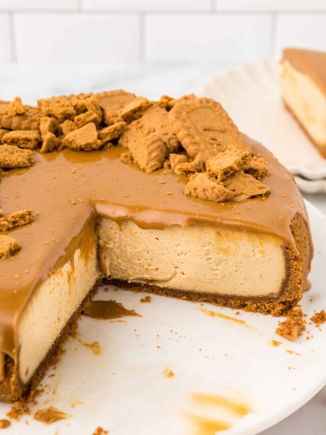 Simple Biscoff Cheesecake Recipe Fab Everyday