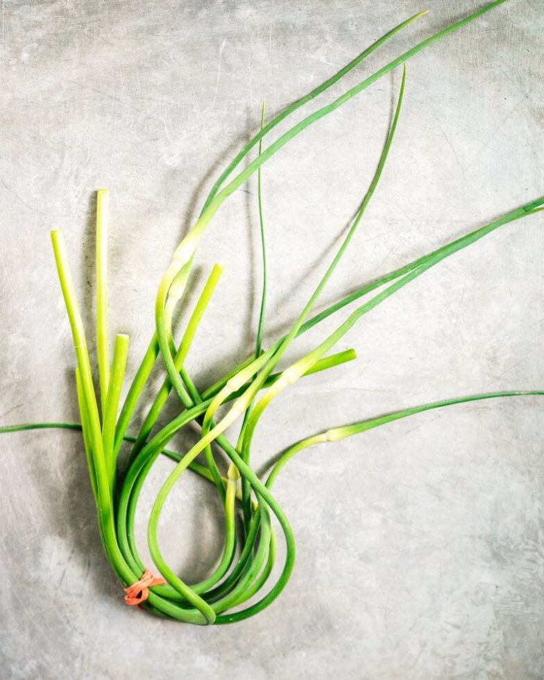 Simple Garlic Scape Pesto A Couple Cooks