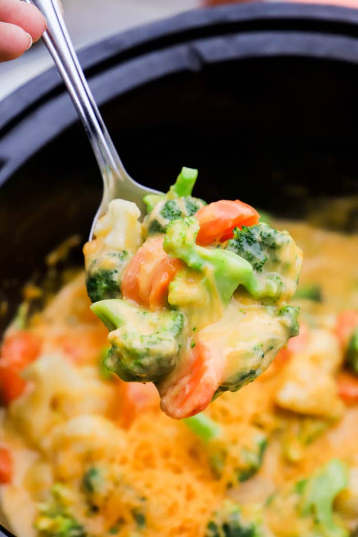 Slow Cooker Cheesy Vegetable Casserole The Diary Of A Real Housewife