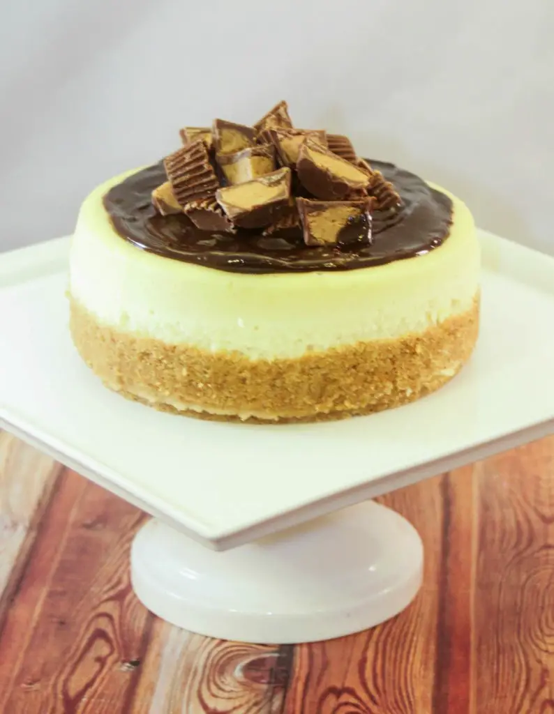 Slow Cooker Peanut Butter Cheesecake