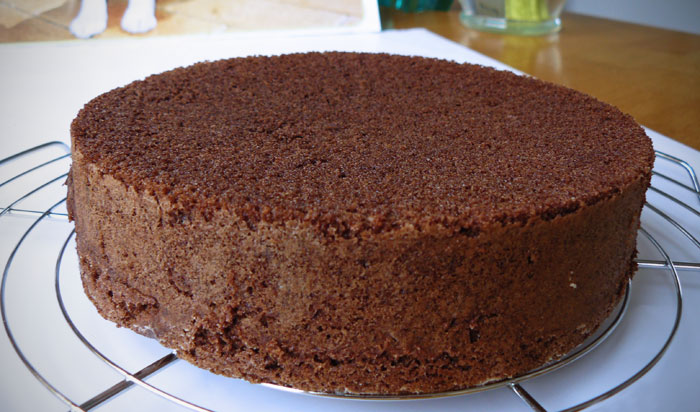 Sponge Cake Genoise Chocolat Recipe The Delectable Hodgepodge