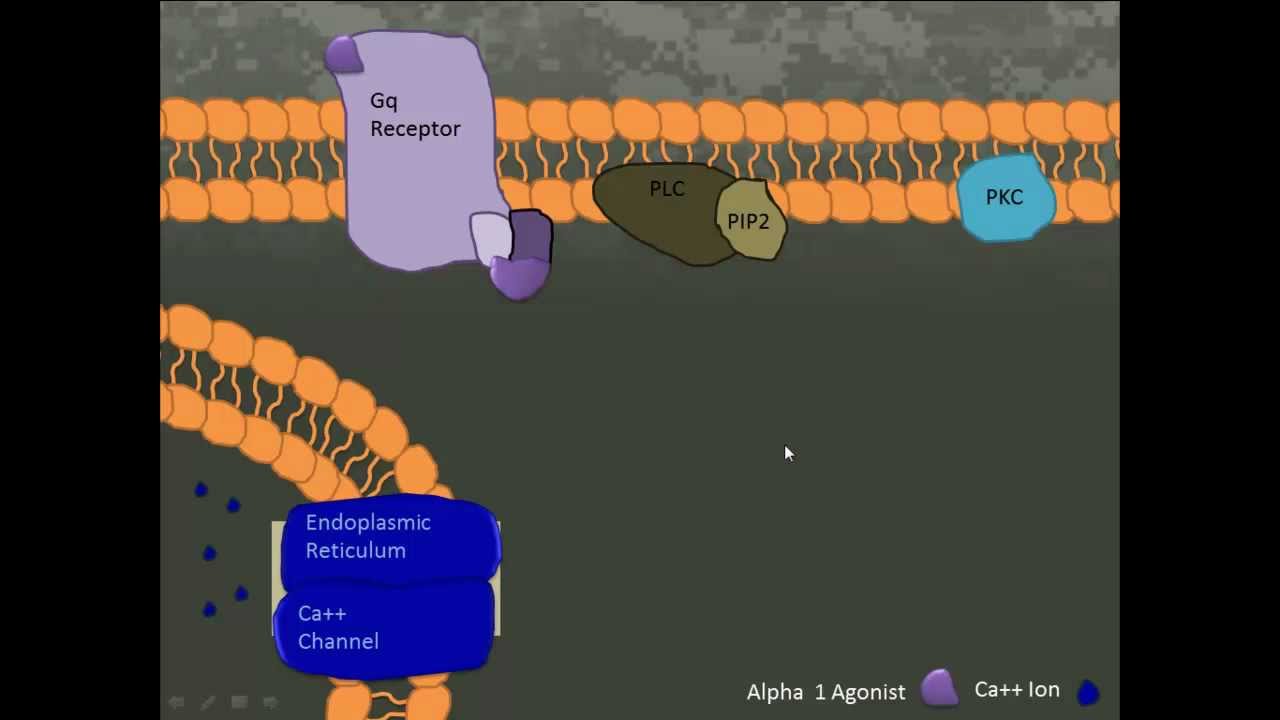 Ss13 Tg Fermichem Ephedrine Easy Recipe Youtube