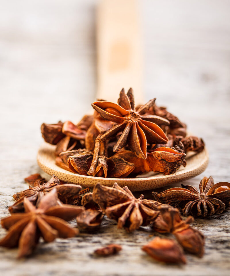 Star Anise Happy Hedgehog Foods