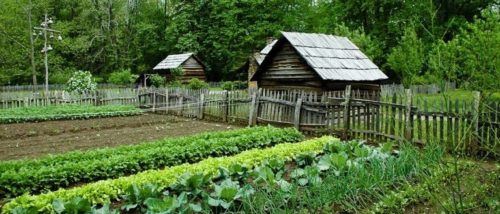 Start A Self Sufficient Homestead On 1 Acre The Prepared Page