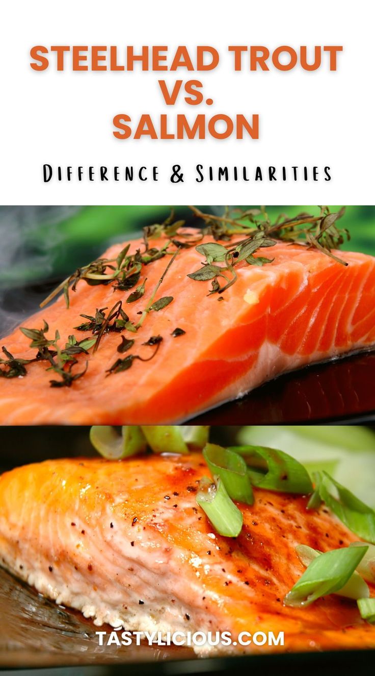 Steelhead Trout Vs Salmon Difference And Similarities Tastylicious In 2022 Steelhead