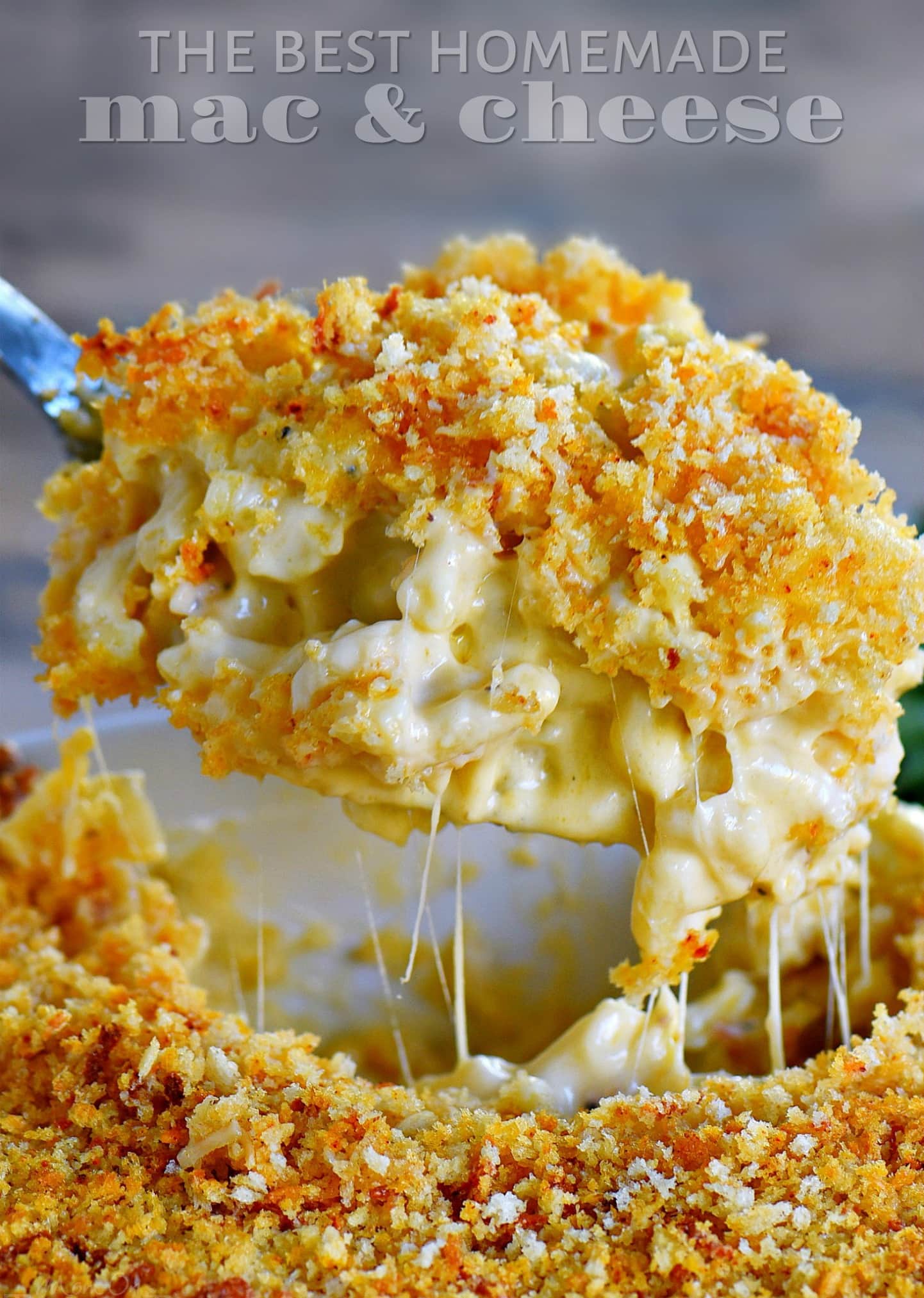 Super Creamy Mac And Cheese Recipe Creamy Mac And Cheese Baked Mac And Cheese Recipe Mac