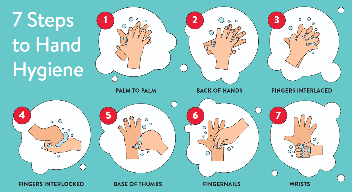 The 7 Steps Of Hand Washing Dialect Zone International