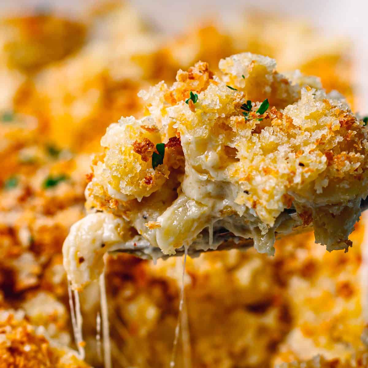 The Best Baked Mac And Cheese Foodiecrush Com