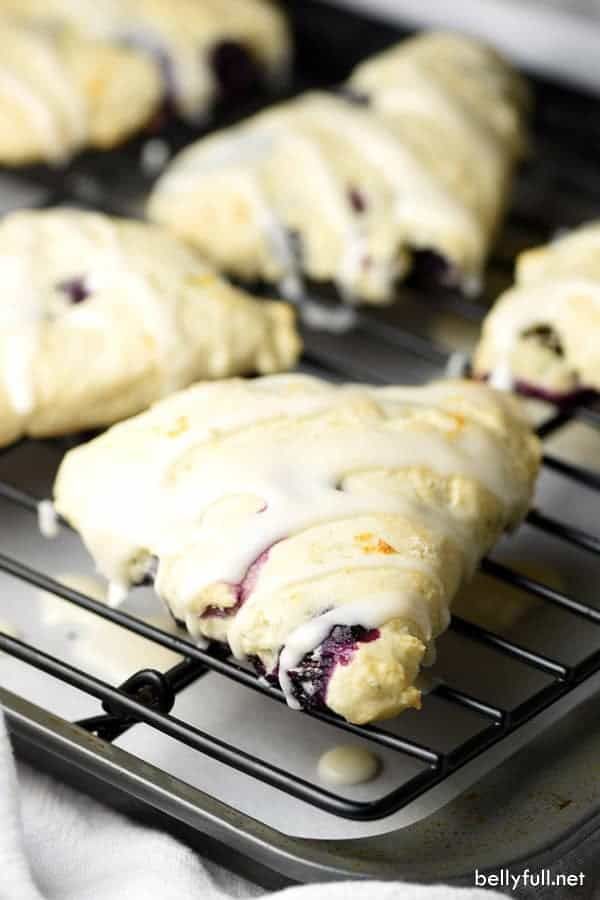 The Best Blueberry Recipes The Best Blog Recipes