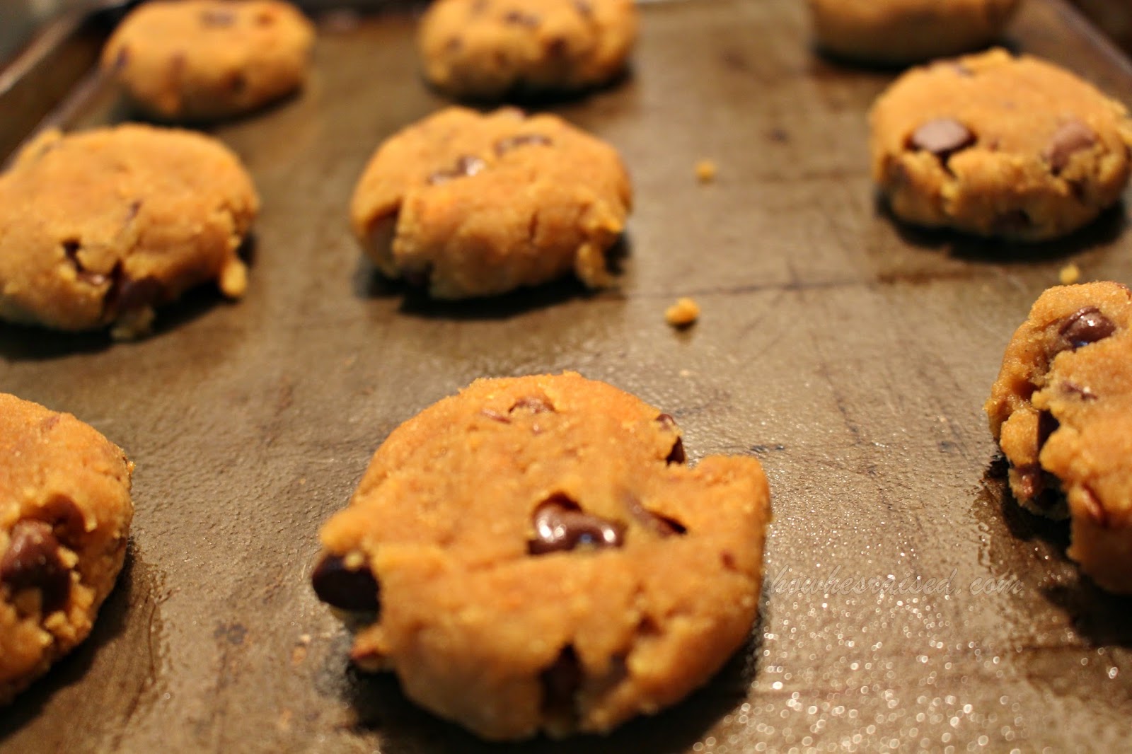 The Best Chickpea Flour Chocolate Chip Cookies Grain Free Dairy Free