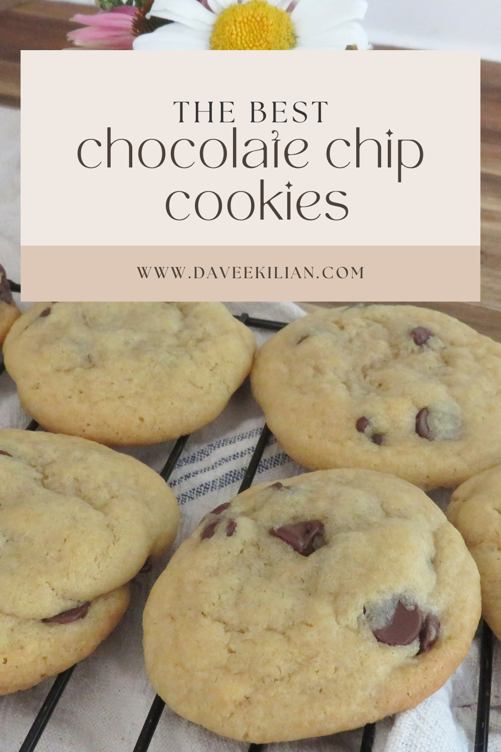 The Best Ever Chocolate Classic Chip Cookies Recipe Cookies Recipes