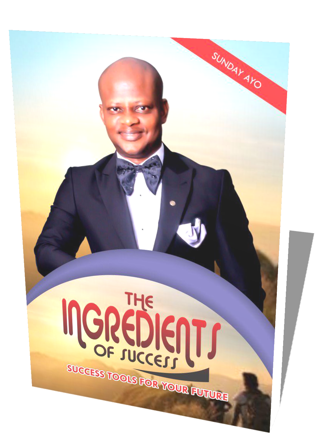 The Ingredients Of Success Vision Ambassadors Outreach