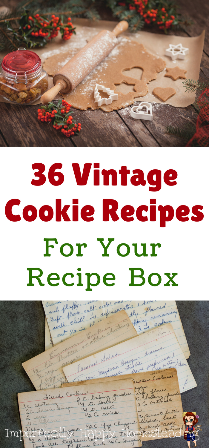 The Most Delicious Vintage Cookie Recipes Artofit