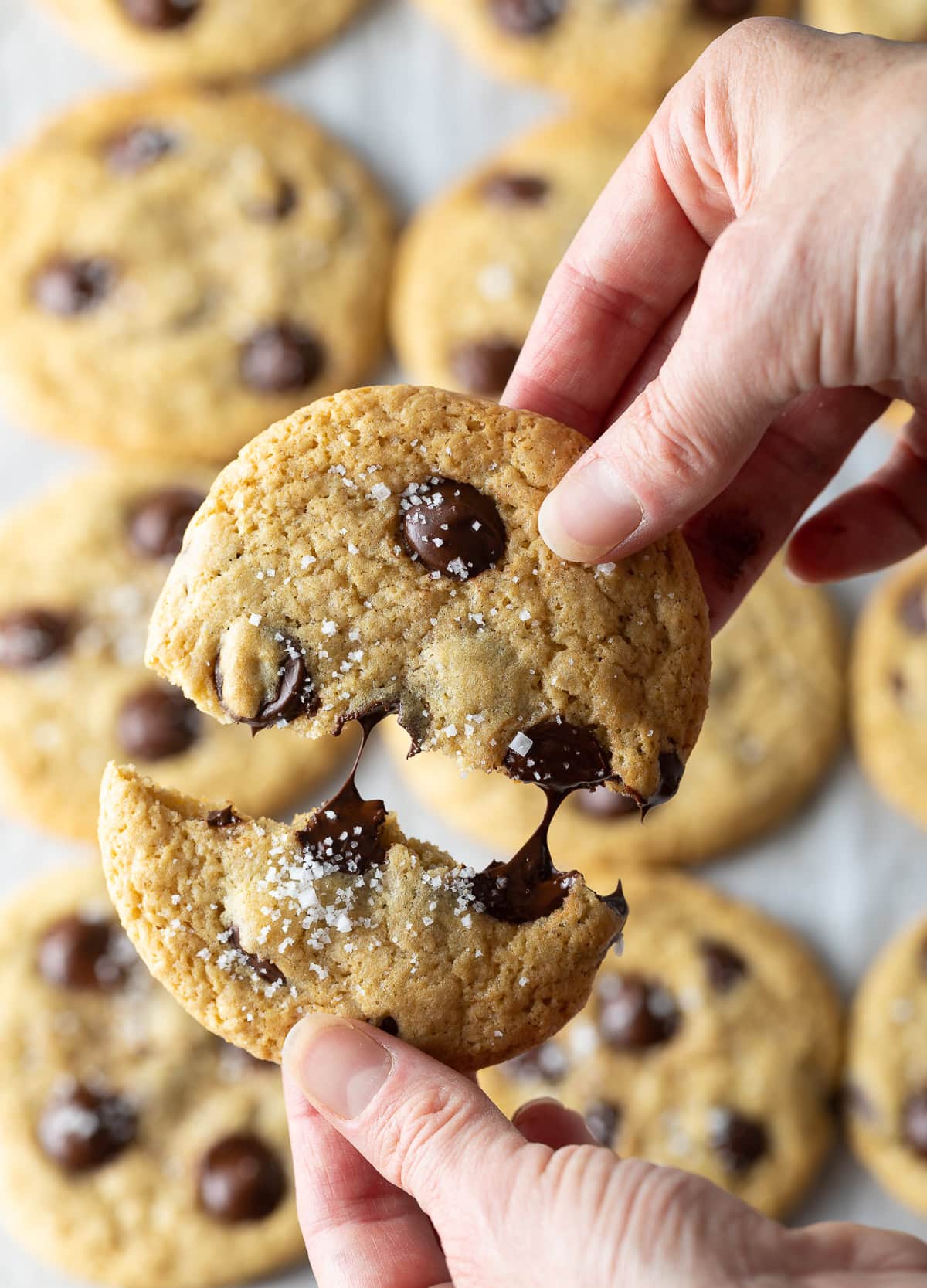 The Perfect Chocolate Chip Cookie Recipe