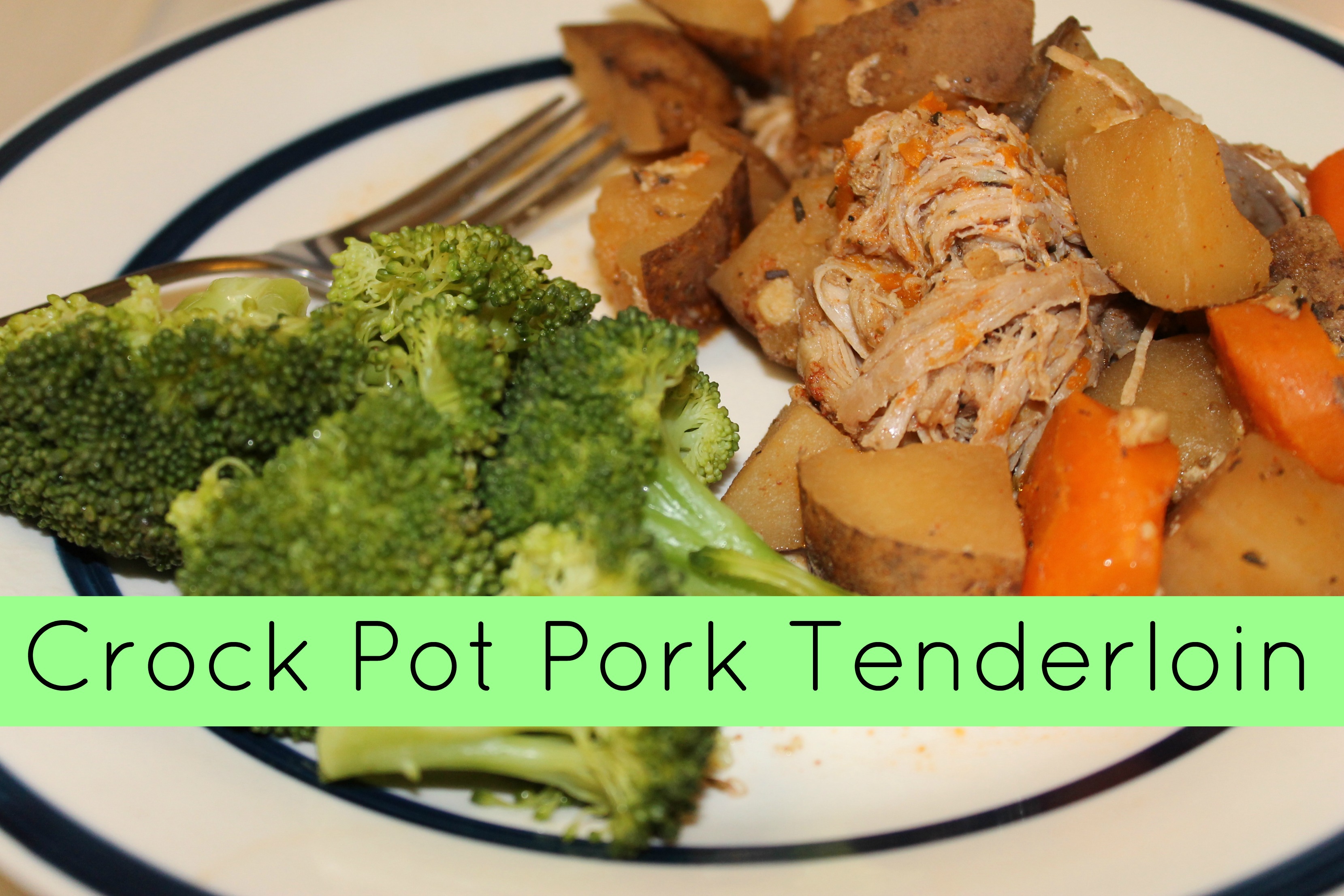 The Top 25 Ideas About Pork Tenderloin Crock Pot Recipe Best Round Up