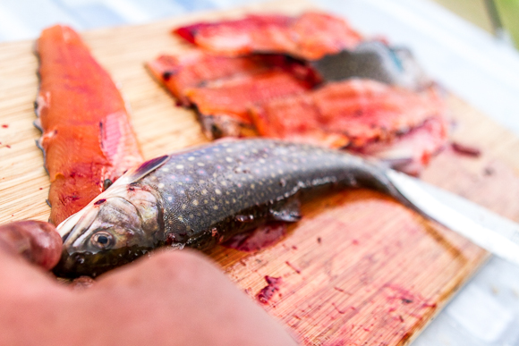 This Steamed Rainbow Trout Is Quick Healthy And Delicious It Is