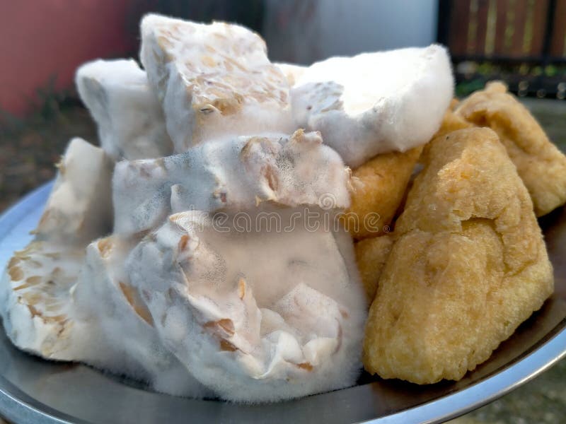 Tofu And Tempeh That Have Been Cut On A Plate Food Ingredients To Be Cooked Stock Image