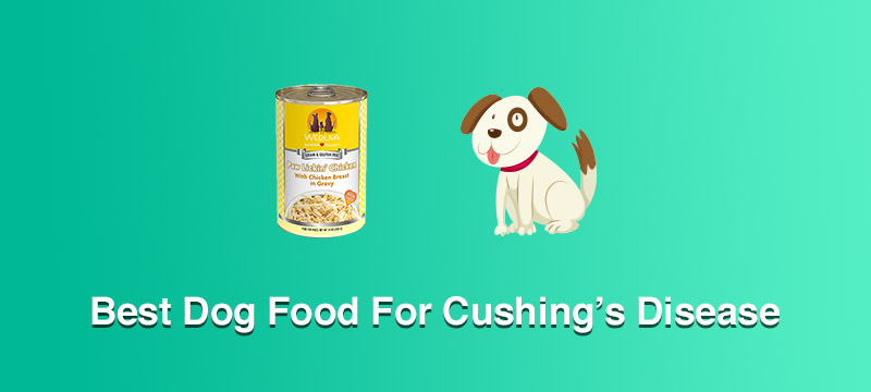 Top 10 Best Dog Food For Cushing S Disease