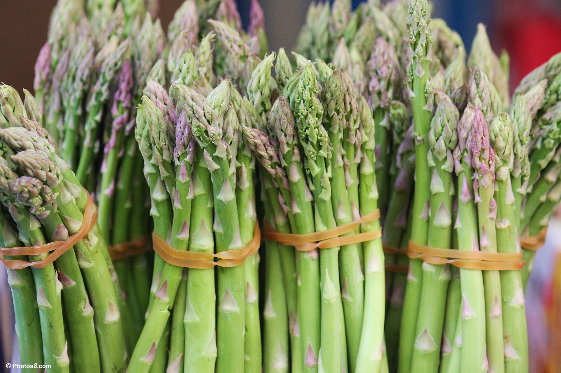 Top 10 Health Benefits Of Asparagus