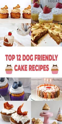 Top 12 Dog Friendly Cake Recipes Cherbear Creative Dog Friendly