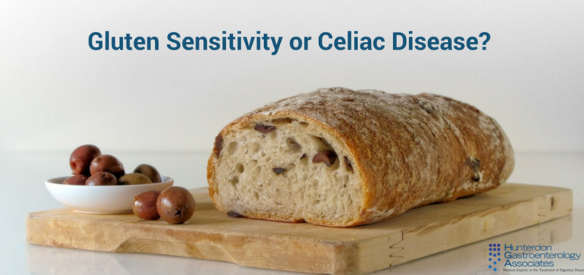 Understanding Gluten Gluten Sensitivity And Celiac Disease A Baker S