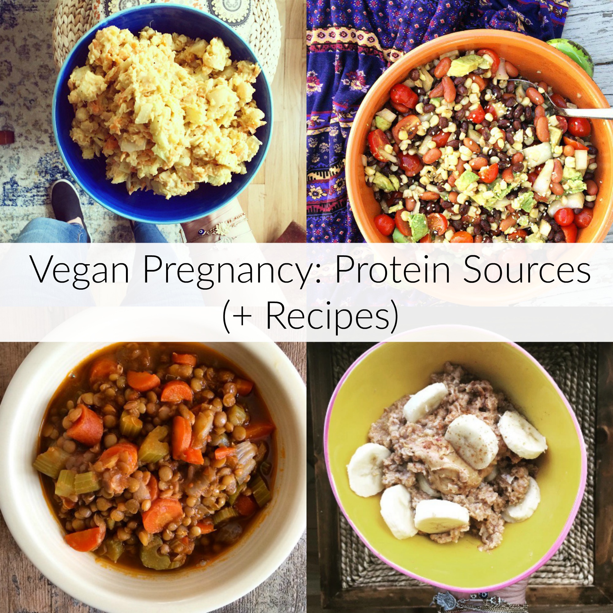 Vegan Pregnancy Protein Sources Recipes The Friendly Fig