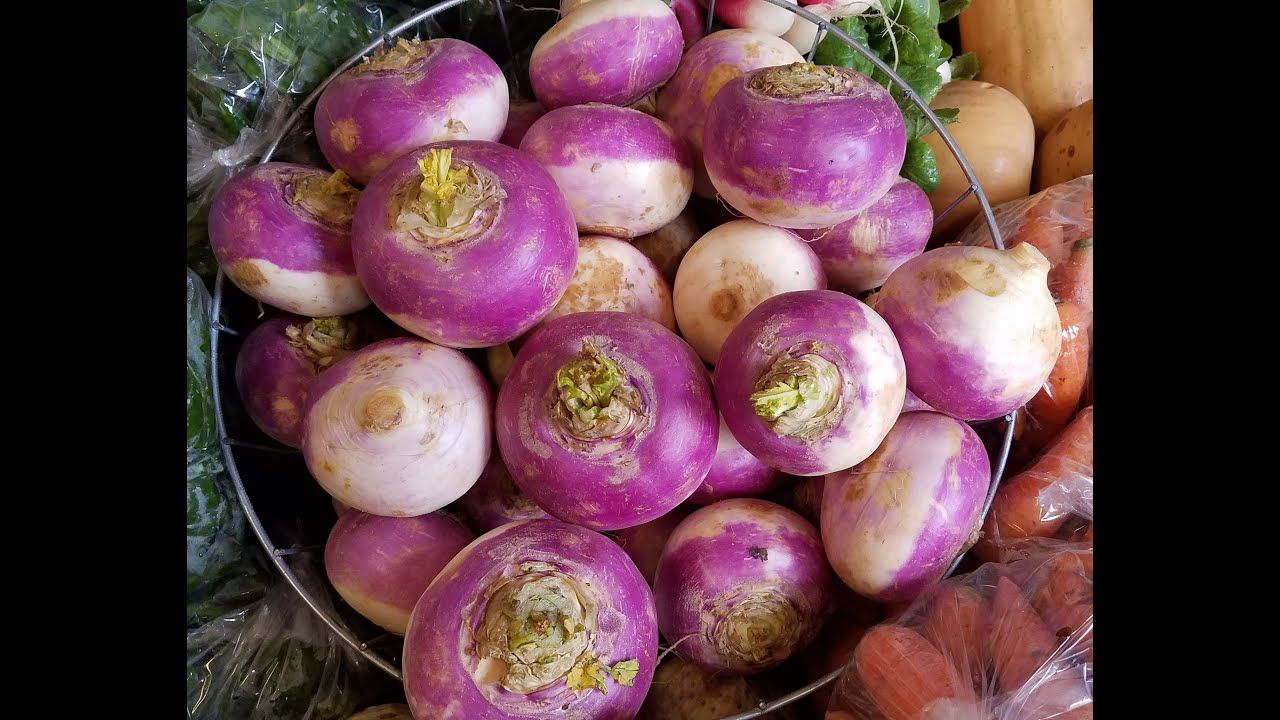 Vegisode Purple Top Turnip Storage And Braised Turnips Recipe Youtube